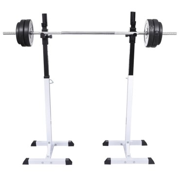 vidaXL Ορθοστάτης Μπάρας/Squat Rack με Σετ Μπάρα και Αλτήρες 60,5 κ.