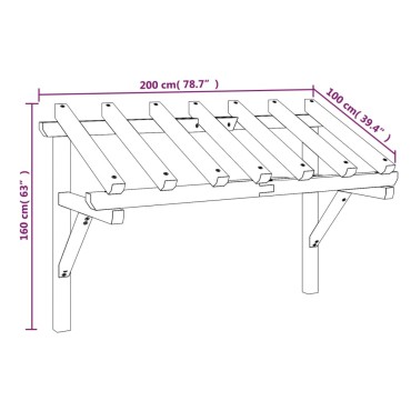 vidaXL Στέγαστρο Πόρτας 200 x 100 x 100 εκ. από Ξύλο Πεύκου