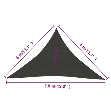 vidaXL Πανί Σκίασης Ανθρακί 4 x 4 x 5,8 μ. από HDPE 160 γρ./μ²