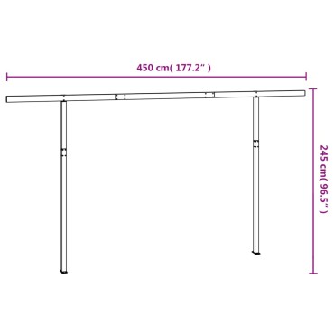 vidaXL Στύλοι Τέντας Σετ Ανθρακί 450x245 εκ. από Σίδερο